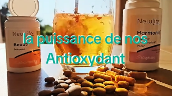 l'expérience Harmoniti